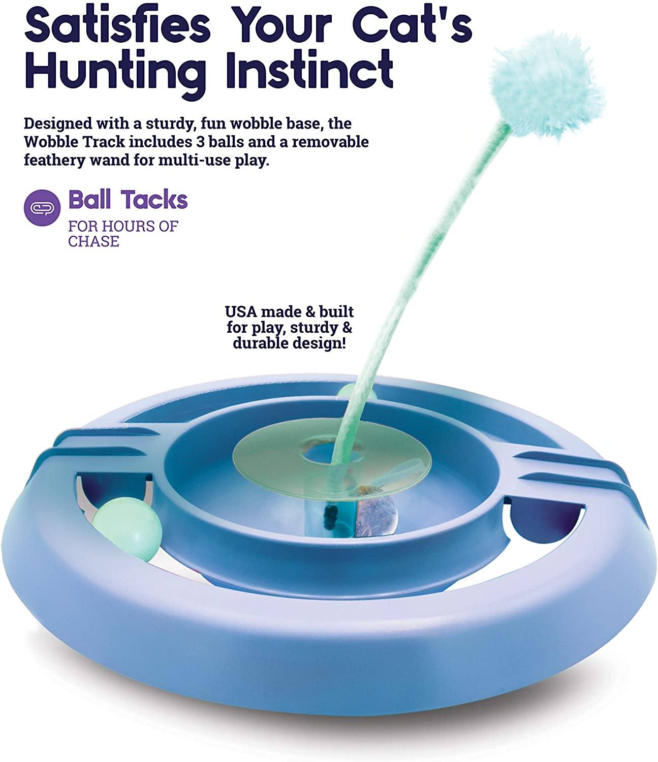 Circle Track with Moving Balls Satisfies Kitty’s Hunting