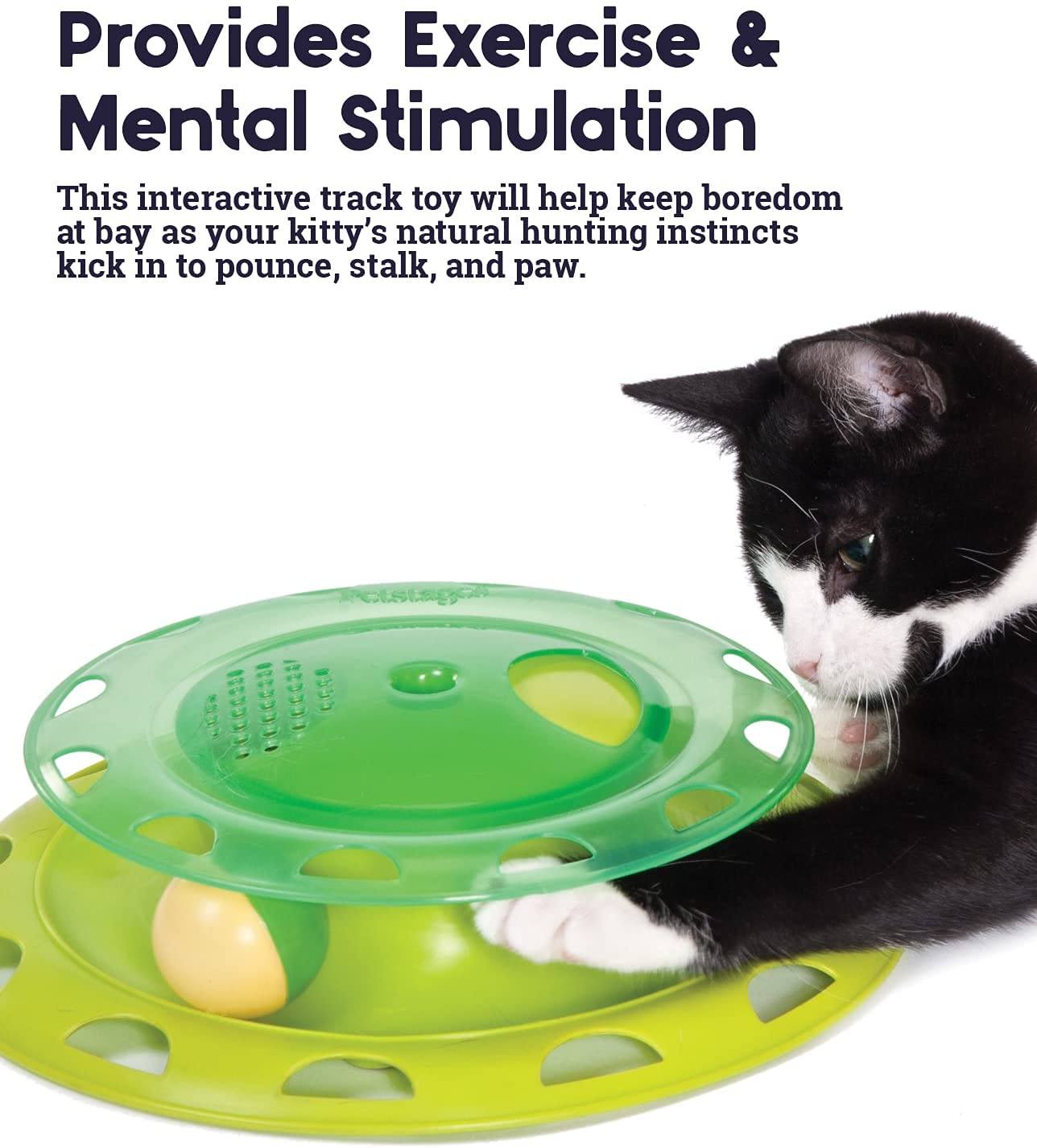 Circle Track with Moving Balls Satisfies Kitty’s Hunting