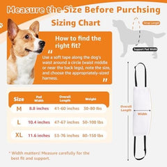 Comfortable Leg Support Assistance for Elderly Dogs with Hip
