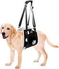 Comfortable Leg Support Assistance for Elderly Dogs with Hip