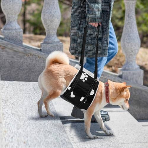 Comfortable Leg Support Assistance for Elderly Dogs with Hip
