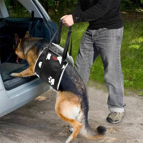 Comfortable Leg Support Assistance for Elderly Dogs with Hip