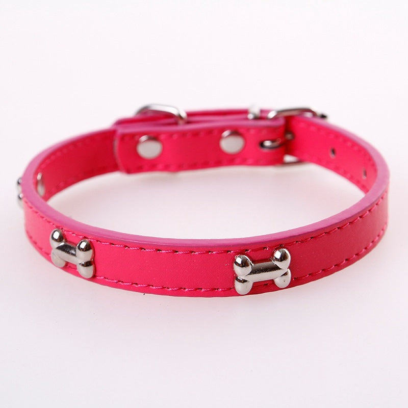 Beautiful Pet Collar Tag