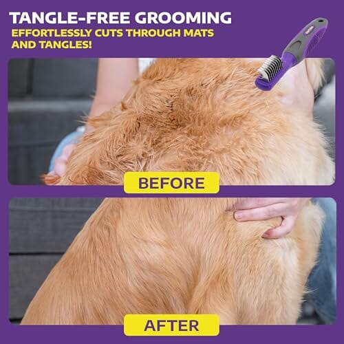 Dog Brush for Tangles and Knots for Long and Short Haired Dogs
