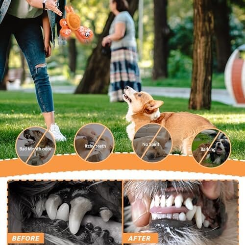 Dog Chew Toy for Teeth Cleaning