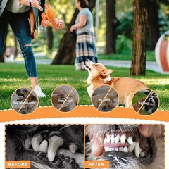 Dog Chew Toy for Teeth Cleaning