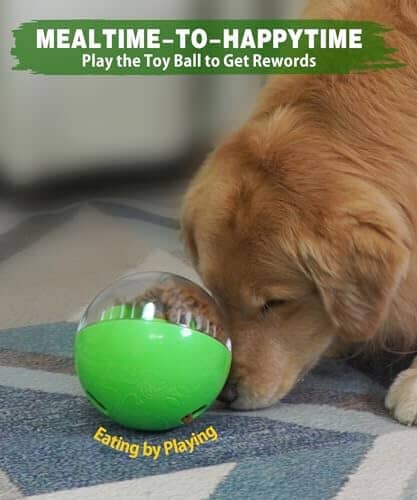 Dog Enrichment Toys for Boredom