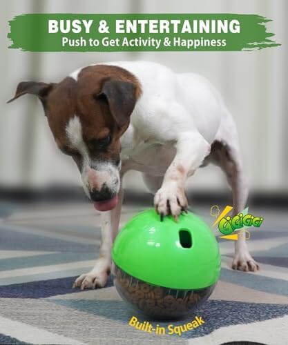 Dog Enrichment Toys for Boredom