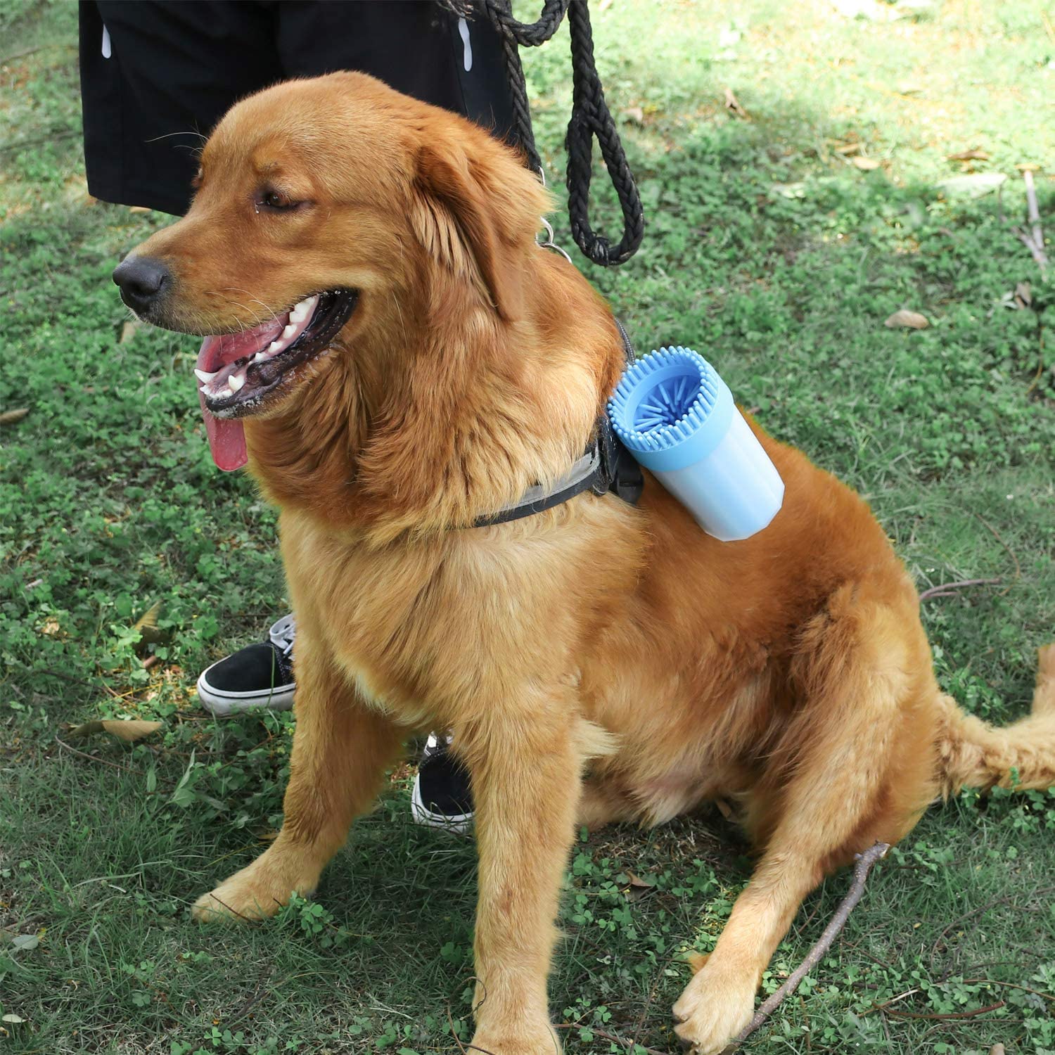 Dog Paw Cleaner