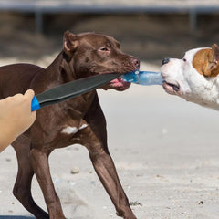 Dog Professional Break Stick