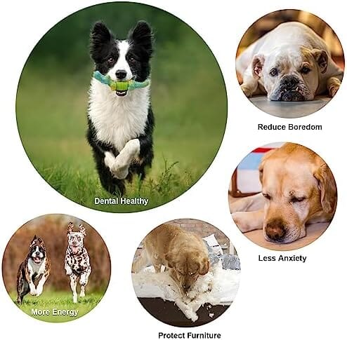 Dog Toys for Aggressive Chewers Dog Toys for Large Dogs