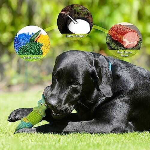 Dog Toys for Aggressive Chewers Dog Toys for Large Dogs
