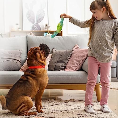 Dog Toys for Aggressive Chewers Dog Toys for Large Dogs