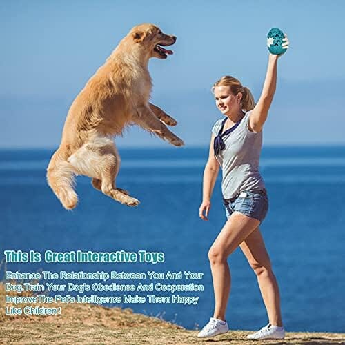 Dragon Egg Dog Chew Toys for Aggressive Chewers