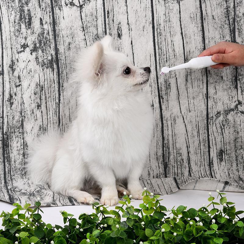 Electric Pet Toothbrush with Additional Brush Heads