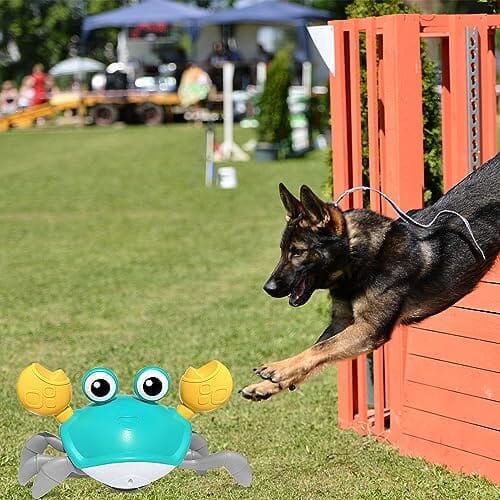 Escaping Crab Dog Toy with Obstacle Avoidance Sensor
