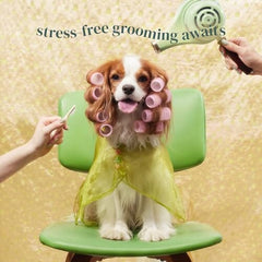 Facial & Eye Comb for Dogs & Cats