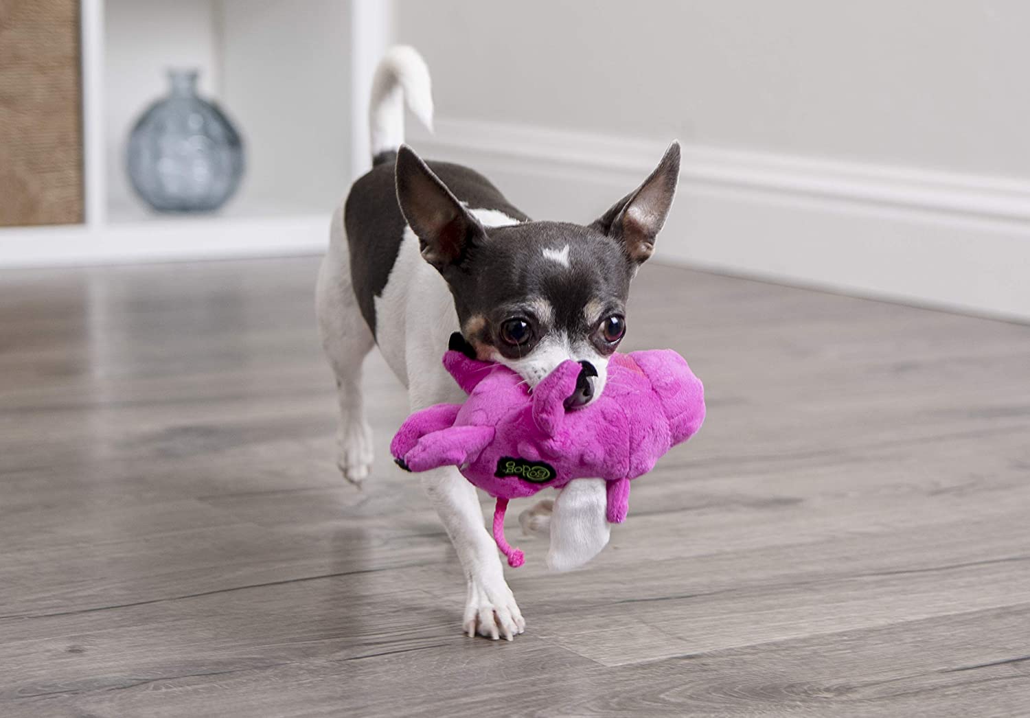 Flying Pigs with Chew Guard Technology Squeaker Dog Toys