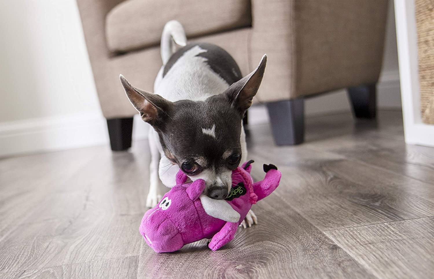 Flying Pigs with Chew Guard Technology Squeaker Dog Toys
