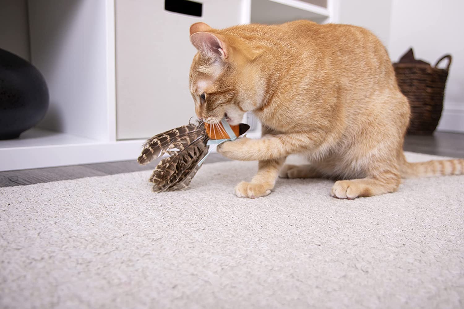Fox Feathered Cat Toy