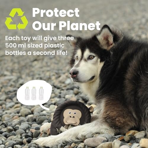 Fox Flying Disc Dog Toys Tug-of-War Toy