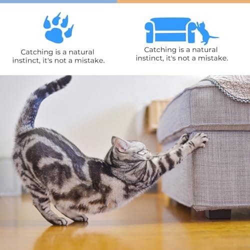 Hanging Cat Scratcher