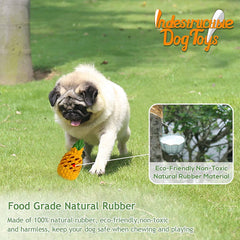 Indestructible Dog Toys for Large Dogs