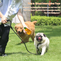 Indestructible Dog Toys for Large Dogs