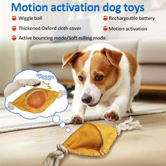 Interactive Dog Balls with Motion Activated