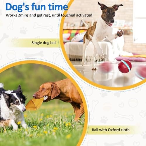 Interactive Dog Balls with Motion Activated