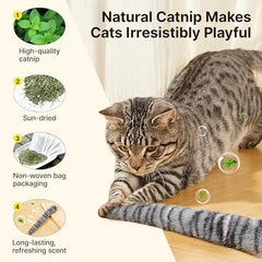 Interactive Indoor Kitten Kicker for Kitty Exercise 9.8 Inches