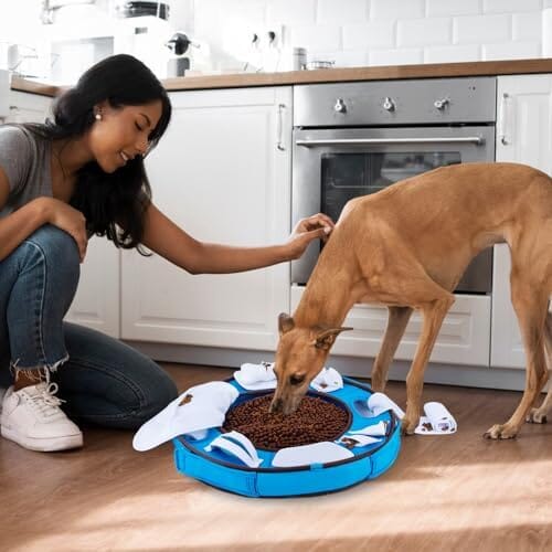 Interactive Snuffle Mat for Dogs Encourages Natural Foraging Skills