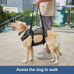 Large Pet Rehabilitation Lifts Vest Adjustable Breathable Straps for Old