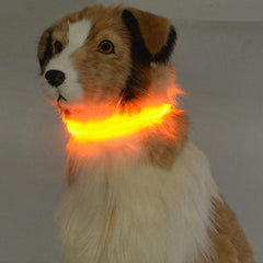 LED Dog Collar