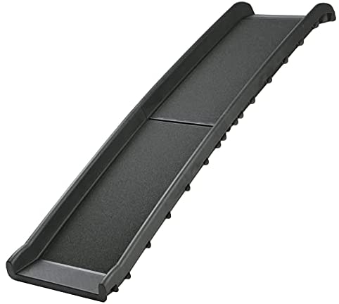 Multi-Purpose Bi-Fold Ramp