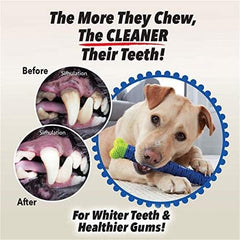 Natural Rubber Bite Resistant Dog Toothbrush Toy