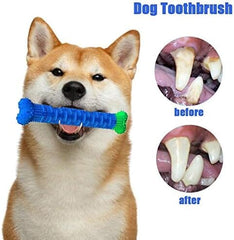 Natural Rubber Bite Resistant Dog Toothbrush Toy