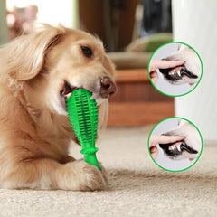 Natural Rubber Tough Hard Dog Interactive Toys