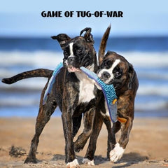 No Stuffing Eel Crinkle Dog Squeaky Toys