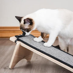 Novelty Cat Scratchers Ramp