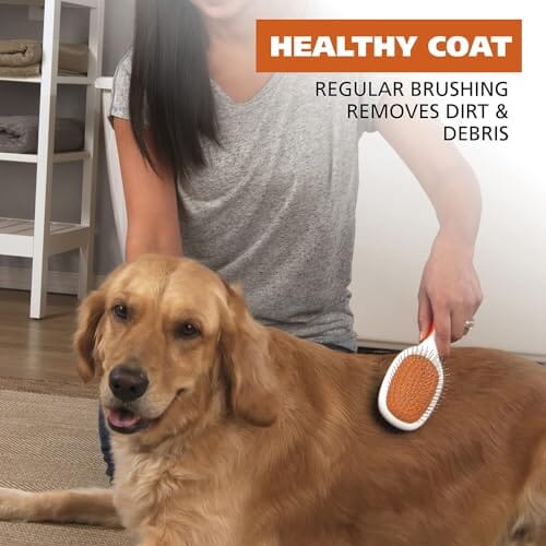 Pet Double Sided Pin Bristle Brush with Patented Stacked Pin Design for Dogs