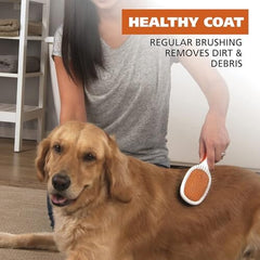 Pet Double Sided Pin Bristle Brush with Patented Stacked Pin Design for Dogs