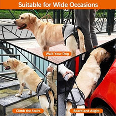 Pet Rear Support Aid Veterinarian Approved Sling for Old Help with Poor Stability