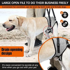 Pet Rear Support Aid Veterinarian Approved Sling for Old Help with Poor Stability