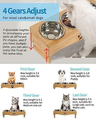 Raised Tilted Cat Bowl Stand Set with 3 Bowl