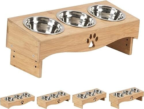 Raised Tilted Cat Bowl Stand Set with 3 Bowl