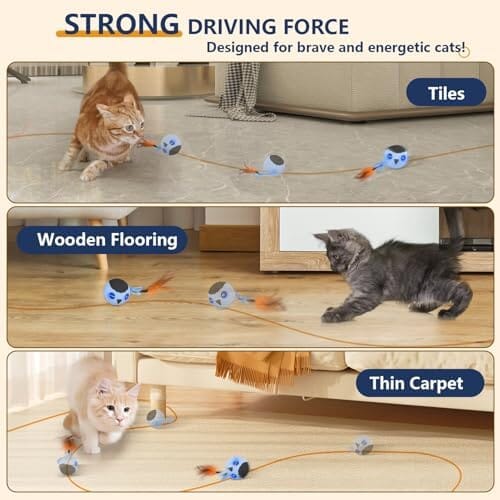 Real Birds Interactive Cat Toys with Catnip