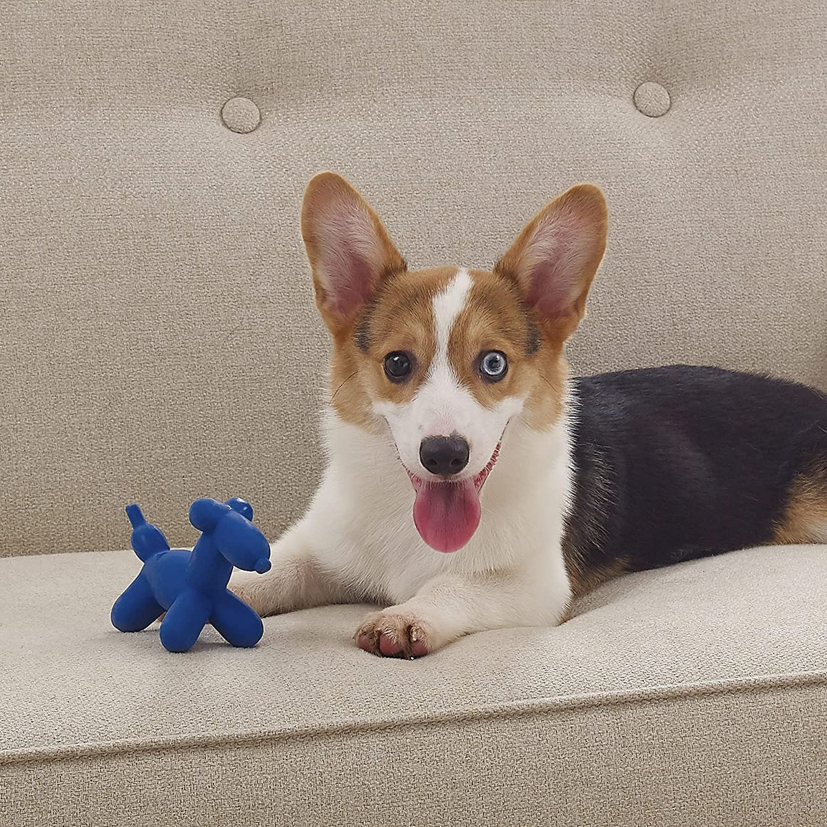Rubber Balloon Dog Toy
