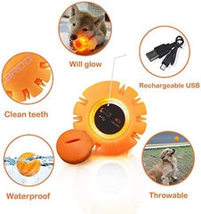 Silicon Glowing Dog Toy Ball at Night with USB Rechargeable