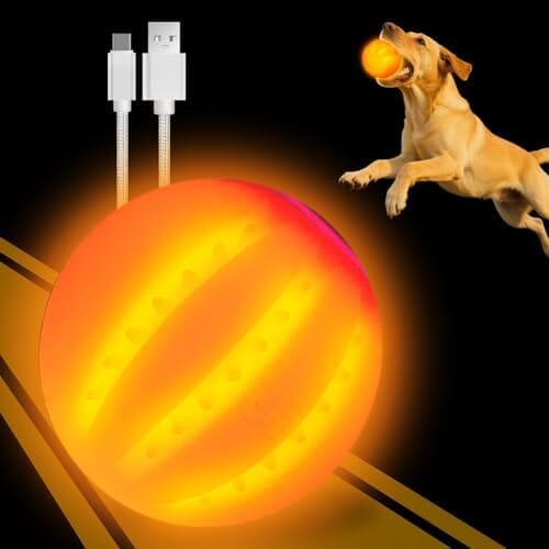 Silicon Glowing Dog Toy Ball at Night with USB Rechargeable